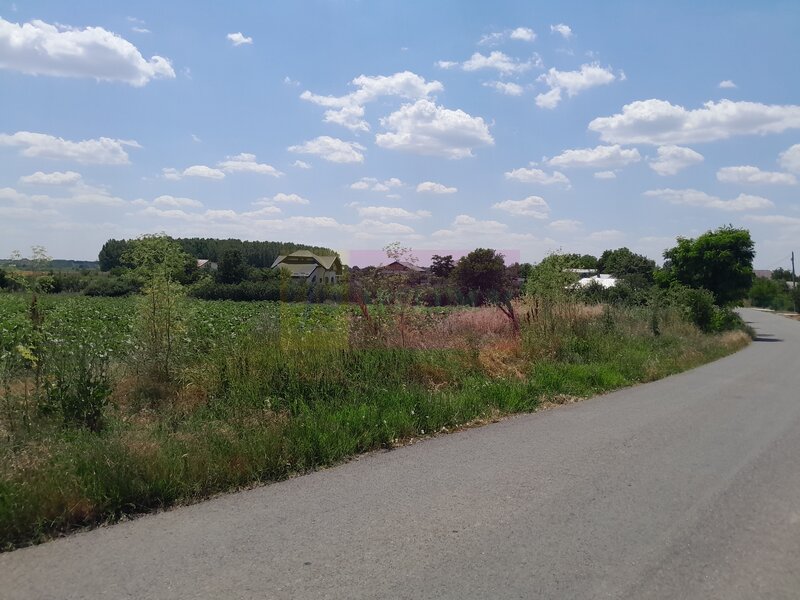 TEISORI /GR - 2 LOTURI LIPITE (TOT. 16500 MP) DE VZ 100K EUR NEG