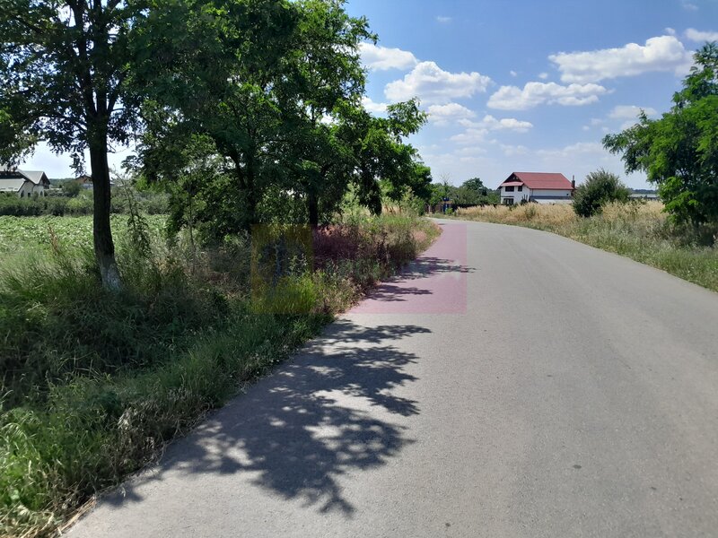 TEISORI /GR - 2 LOTURI LIPITE (TOT. 16500 MP) DE VZ 100K EUR NEG