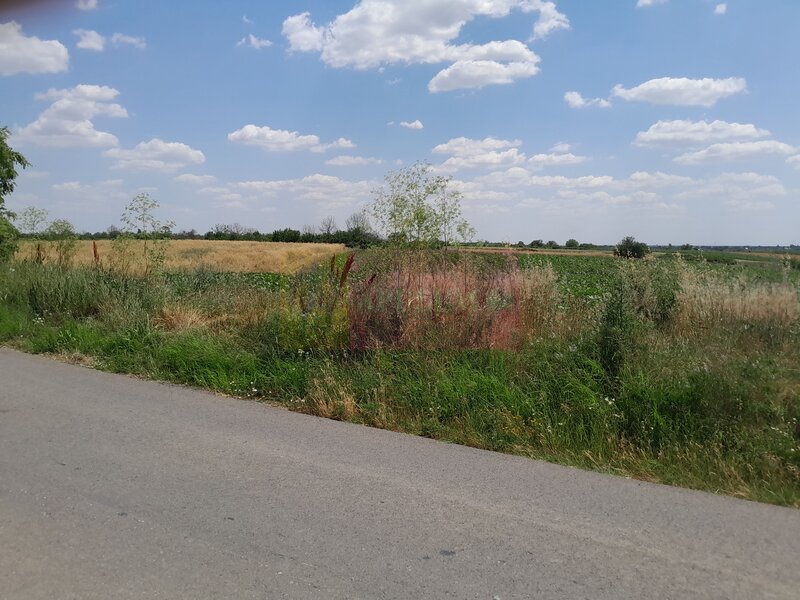 TEISORI /GR - 2 LOTURI LIPITE (TOT. 16500 MP) DE VZ 100K EUR NEG