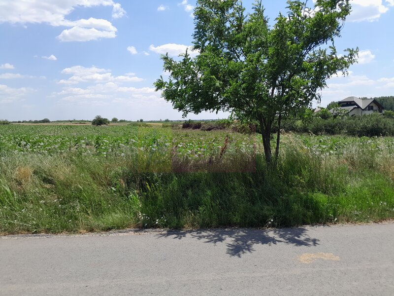 TEISORI /GR - 2 LOTURI LIPITE (TOT. 16500 MP) DE VZ 100K EUR NEG
