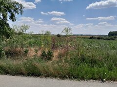 TEISORI /GR - 2 LOTURI LIPITE (TOT. 16500 MP) DE VZ 100K EUR NEG